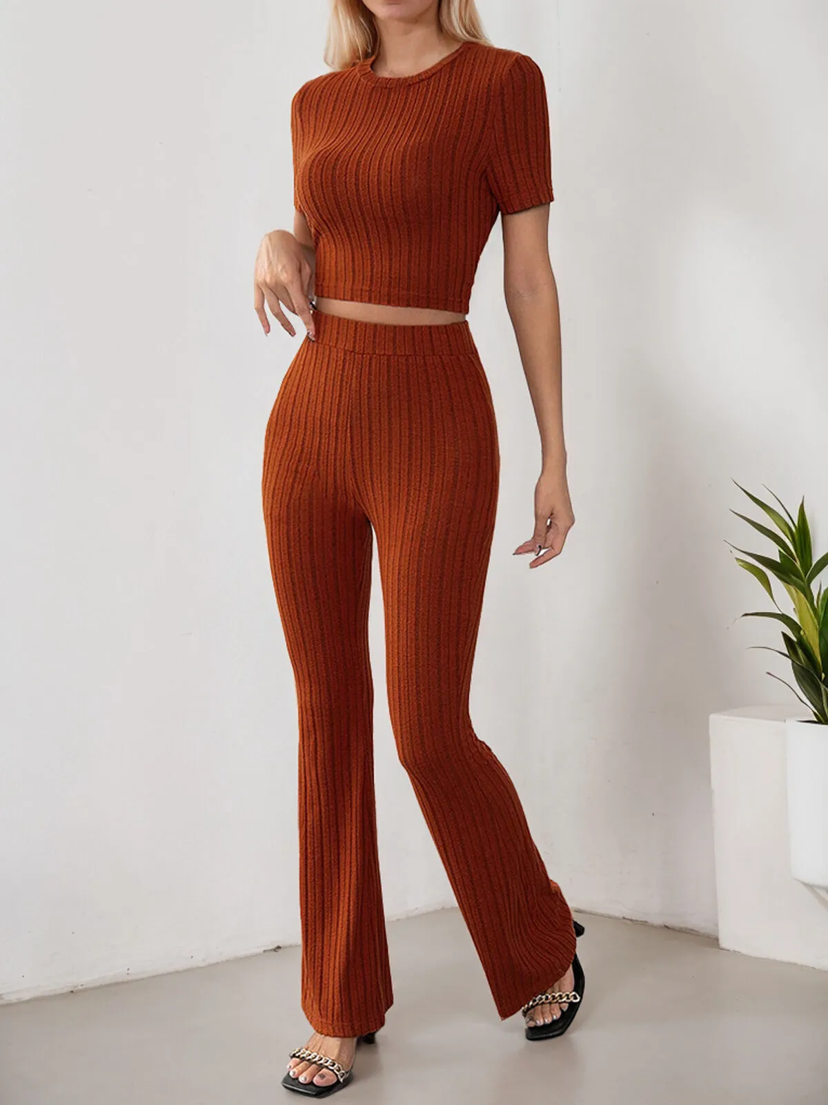Solid Round Neck Crop Top & Solid Pants, 3 of 6