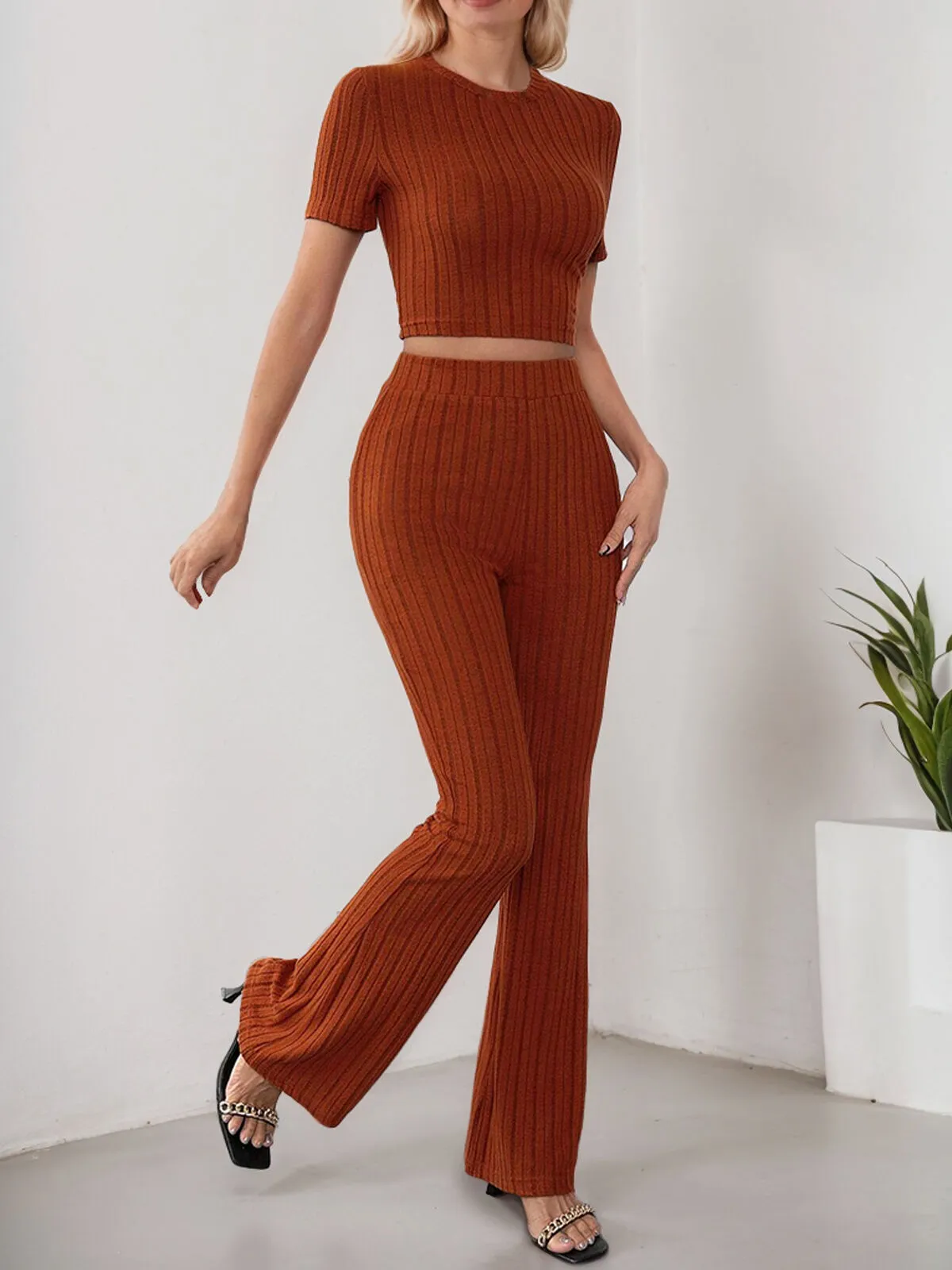 Solid Round Neck Crop Top & Solid Pants, 4 of 6
